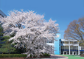 獨協医科大学　Dokkyo Medical University